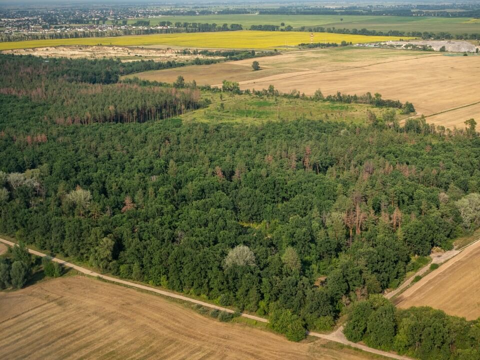 Reserva legal - Zona ambiental